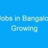 HR Jobs in Bangalore: A Growing Industry Offering Lucrative Career Opportunities