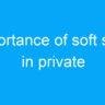 Importance of soft skills in private jobs