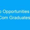 Job Opportunities for BCom Graduates in India: A Wide Range of Options