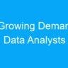 The Growing Demand for Data Analysts and Scientists in India