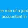 The role of a junior accountant in government jobs for 12th pass candidates in India