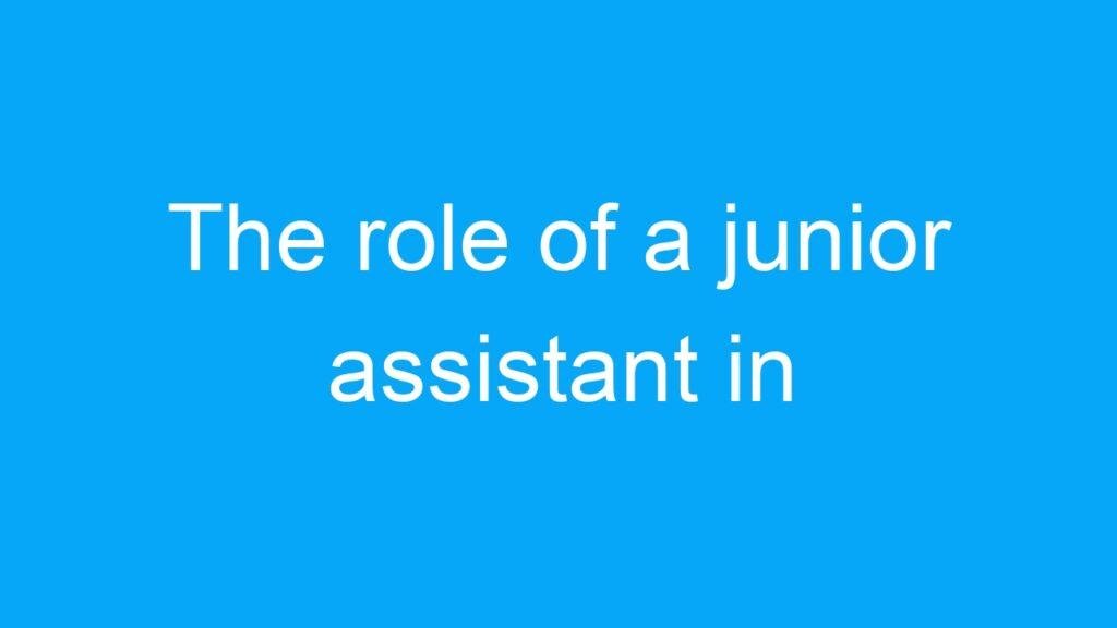 The role of a junior assistant in government jobs for 12th pass candidates in India