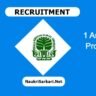 KAU Recruitment 2024 – Walk-in Interview for 1 Assistant Professor @ kau.in